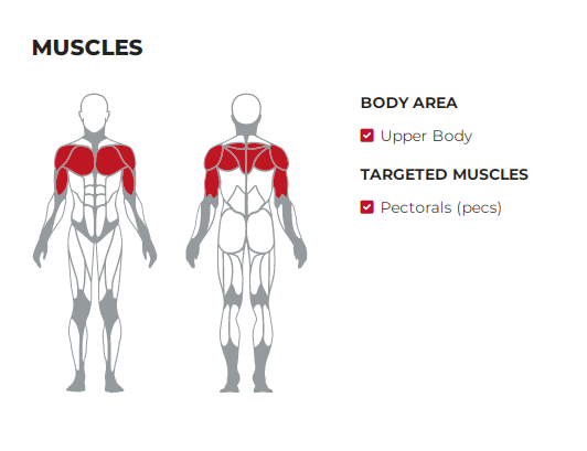 Horizontal Bench Press Commercial Gym Equipment
