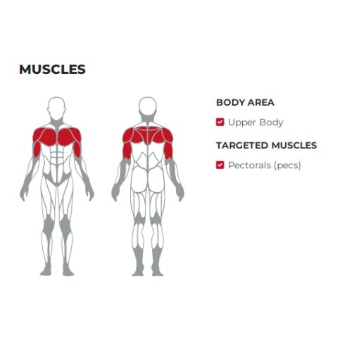 Horizontal Bench Press Commercial Gym Equipment