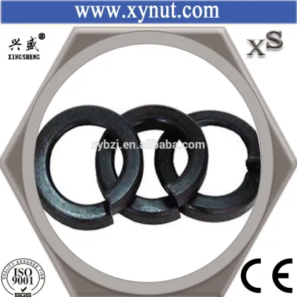China factory hardware spring washer