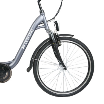 26-inch 250W Electric Bicycle with Pedals - Adult E-bike for European Markets