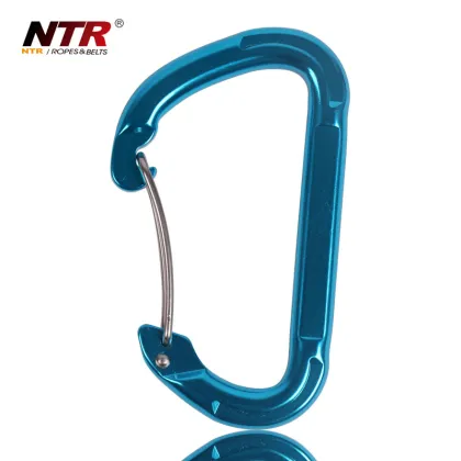 NTR flat wire gate aluminium & magnesium ally carabiner