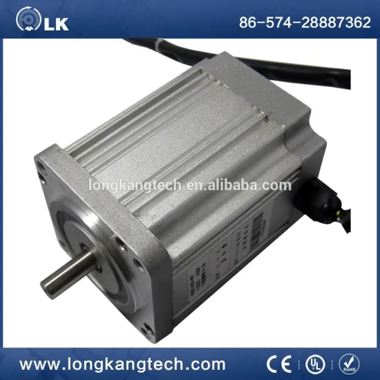 LW-WS80 300W Brushless Motors