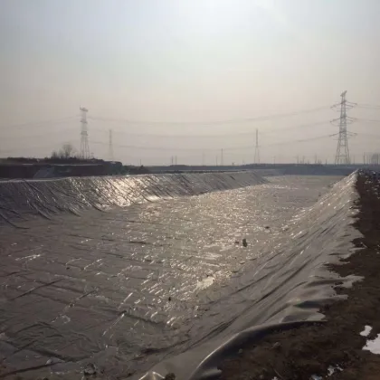 Black Geomembrane 1mm for Canal