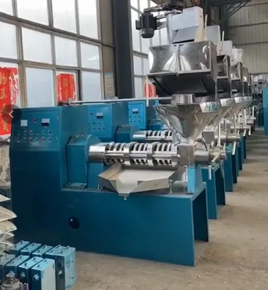 Automatic Peanut Machine: Edible Oil Press Machine & Coconut Oil Extraction