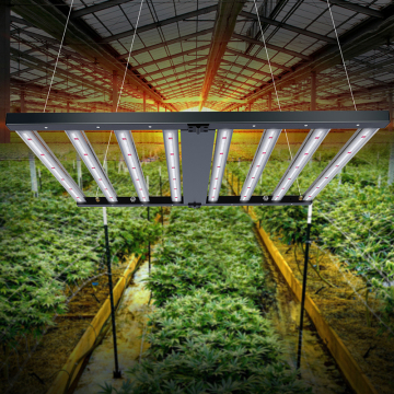 600 Watt 8bar Hemp LED Grow Lights