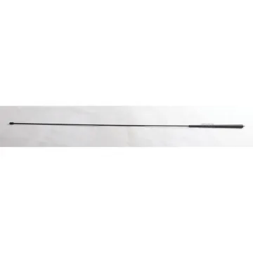 AISC Auto Part Long Car Antenna 28215-AX000 for Nissan Sunny N17