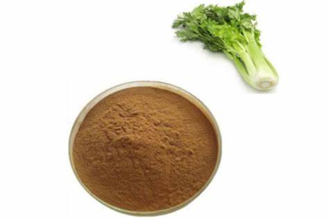 Natural Celery Seed Extract