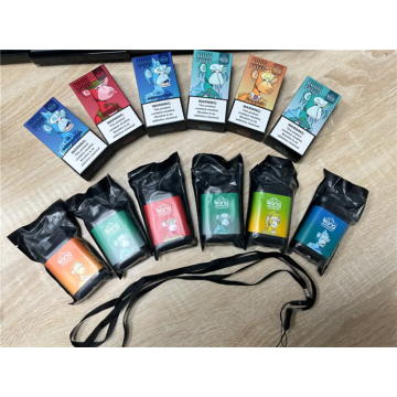 Netherlands Hot Sale Vape Bang king 8000 Puffs