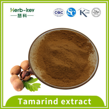 Antipirética 10: 1 Tamarind Extracto en polvo