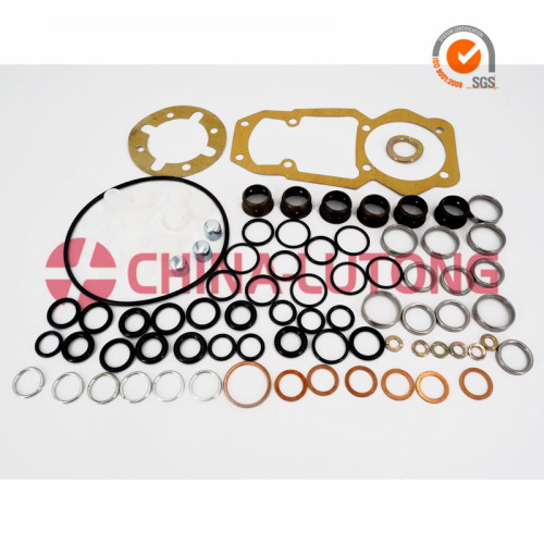 Fuel Injector Rebuild Kit, High Quality Fuel Injector Rebuild Kit on