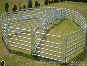 Horse Farm Popular Steel Carral Fence