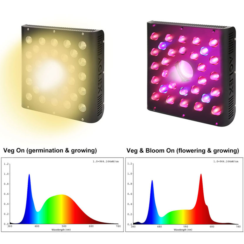 Luces de cultivo LED COB Full Spectrum de 100 vatios