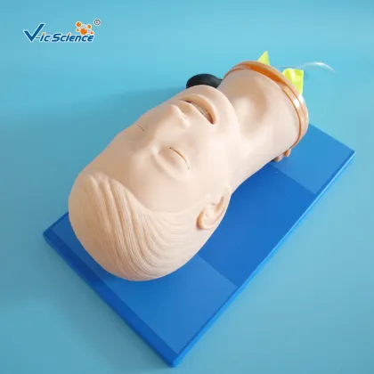 Air-way Management Training Model