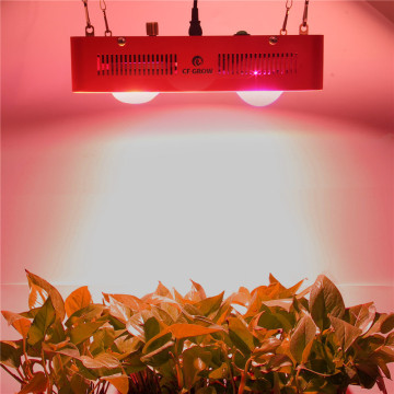 Yeni varış 2017 en verimli spektrum kral led ışıklar büyümeye led Citronics cob ve bridgelux cob ile 240 w