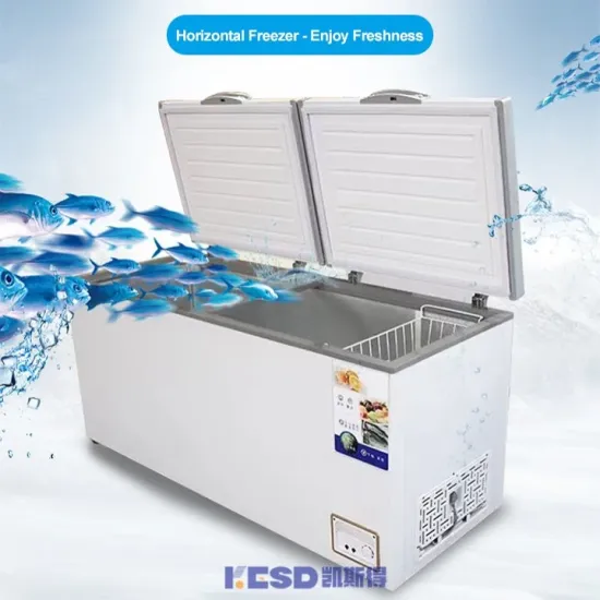 Convenience Reliable High Performance Horizontal Type Low Temperature Deep Freezer