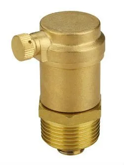 Automatic Air Release Valve