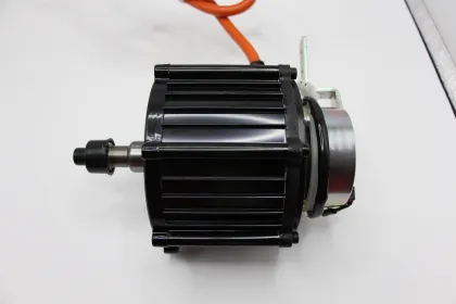 Monsoon-Proof IP54 Waterproof BLDC Motor