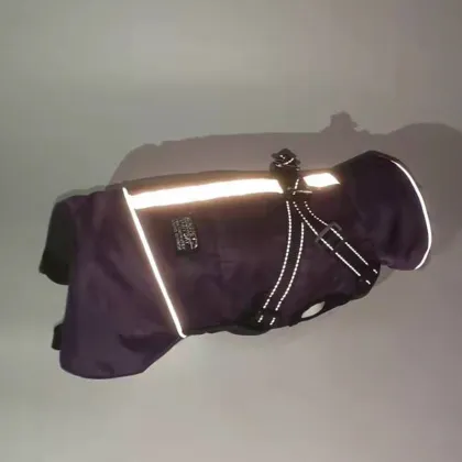 Pet themed clothing with harness