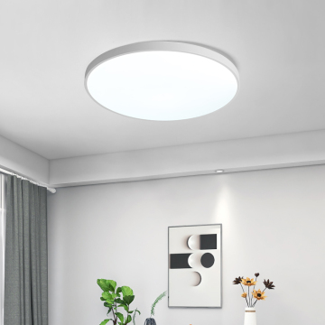 Wholesale Simple Modern White LED Ceiling Lights 15W-48W