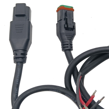 Customize Extension Cable with DT04-2P DT06-2S 2 Pole Connector Overmolding