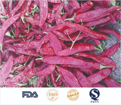 High Quality Red Chilli Paprika Seeds