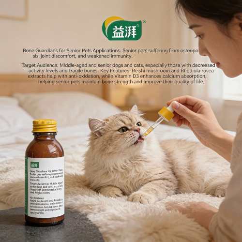 Suplemento de apoio ao câncer ósseo de animais de estimação