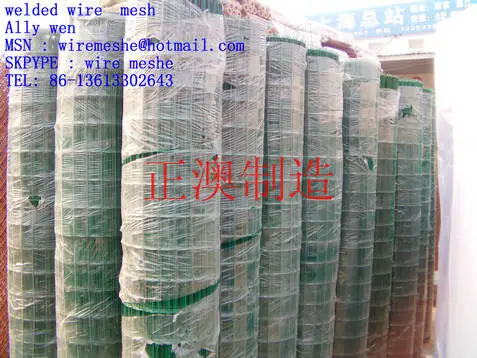 Stainless and galvanized welded wire net selling