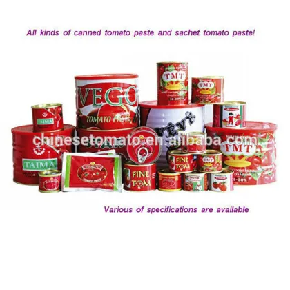 Paste type canned tomato paste