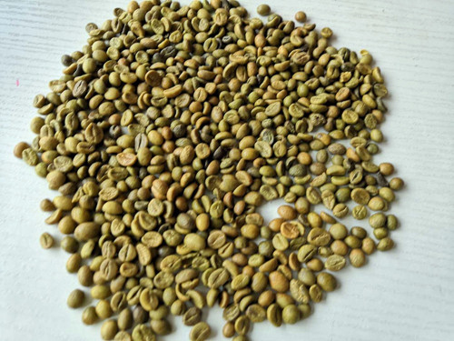مستخلص نبات حبوب القهوة الخضراء