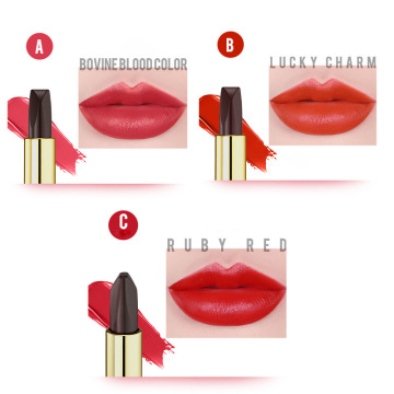 Carved exquisite lipstick tube three color lipstick