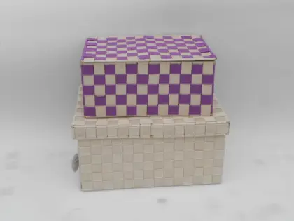 S/2 hand  woven PP  storage baskets with lid