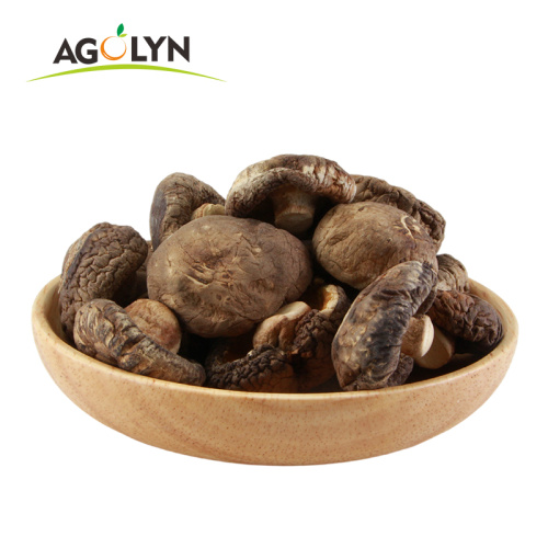 OEM Factory price Dried Shiitake Mushrooms High Quality Dried Mushrooms