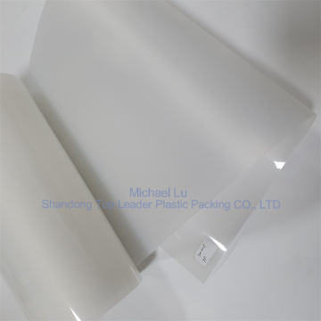 white opaque Blister food grade pp sheet roll