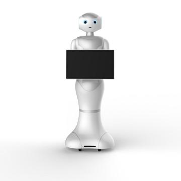 Intelligent Humanoid Robot for Bank and Mall Welcome Services