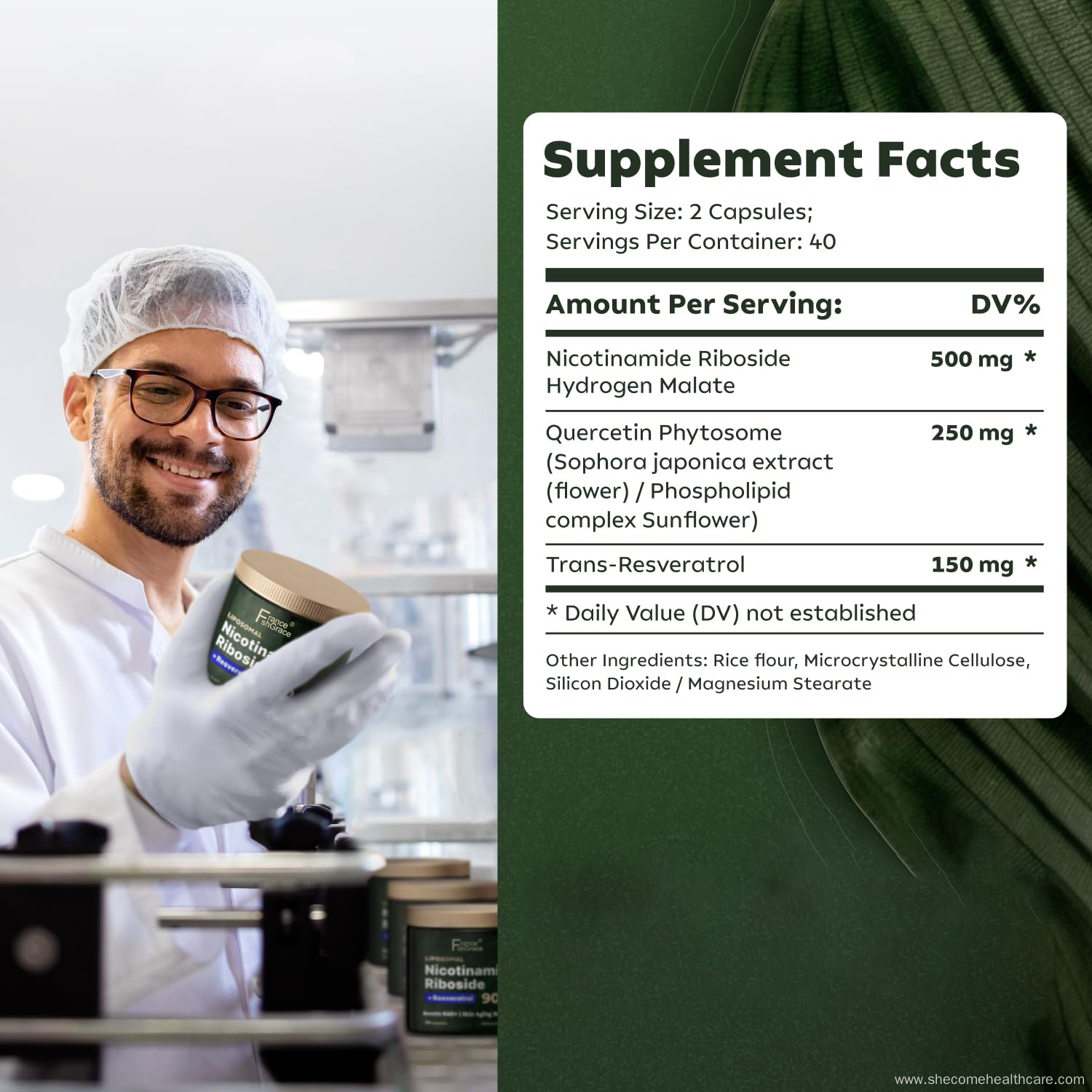 NMN capsules with Nicotinamide Energy Focus NMN Supplement