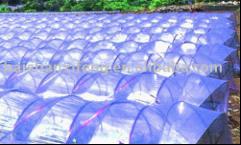 greenhouse film/ agriculture greenhouse 3 layer film/different specification/function film