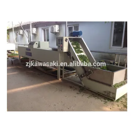 Fresh tea leaf sorter 6CCT-200