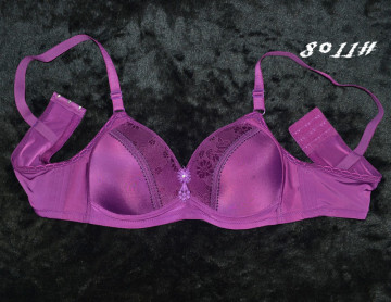 Professional Bra Manufacture Cheap Bra Super Sexy Fashion