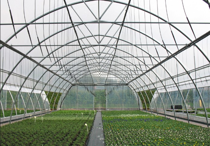 Usine prix facilement installé à effet de serre agricole