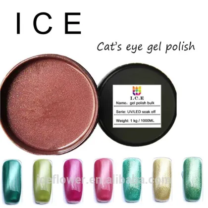 Hot Sale Nail Gel Polish 3D UV Gel cat eye nail vanish