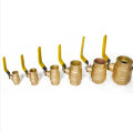 High-Pressure 2000WOG Ball Valve in Cast Iron, Brass, SS304, and SS316 with NPT 1/4" Connection and Check Valve