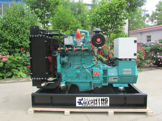 Biomass gas generator