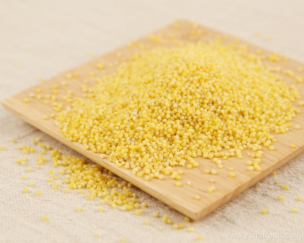 Millet Nutritional Value