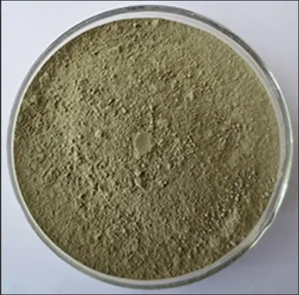 Concentrated tartary buckwheat seedling powder