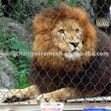 Lion Enclosure Mesh