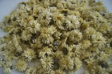 Dried Chrysanthemum flower origin