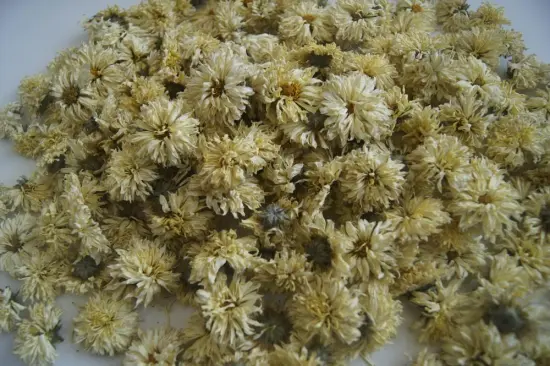 Dried Chrysanthemum flower origin