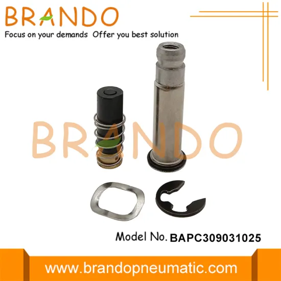 P206 DAIRYMASTER Milking Electronic Pulsator Solenoid Valve Armature Plunger Tube