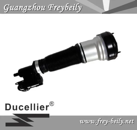 2203202138/ 2203202238 4Matic Air Suspension Shock for Mercedes Benz S-Class W220