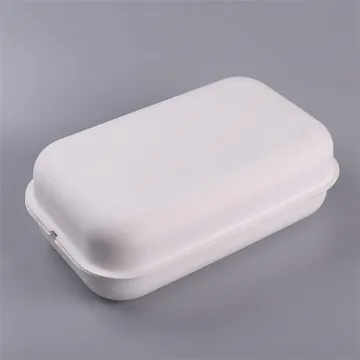 Molded Paper Pulp Sugarcane Bagasse Clothes Packaging Box